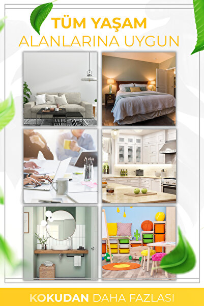 AURAN Bahar Esintisi Çubuklu Oda Kokusu Bambu Kokusu Spring Breeze Reed Diffuser 50ml