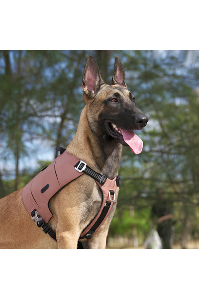 True Love Cordura Kumaşlı, Cepli Pembe Göğüs Tasması