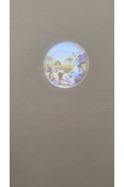 mibrillo Reflective Keychain with Light and Indicator