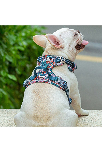 True Love Renkli Çiçek Desenli, Alüminyum D-halkalı, Ergonomik Mavi Göğüs Tasması