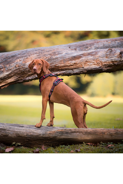 True Love Alüminyum D-halkalı, Ergonomik, Kırmızı Göğüs Tasması