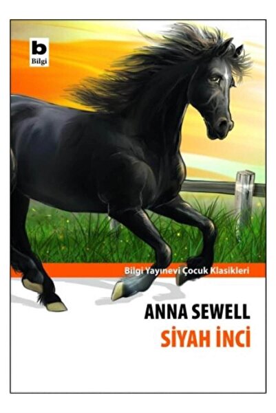 Bilgi Yayınevi Siyah İnci