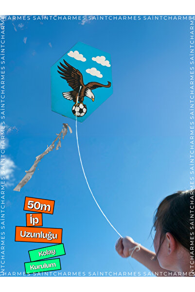 Saint Charmes Kartal Desenli Uçurtma 50 Metre Ipli Kolay Kurulumlu Çocuk Oyuncağı