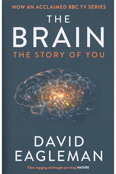 Genel Markalar Brain: The Story Of You PB