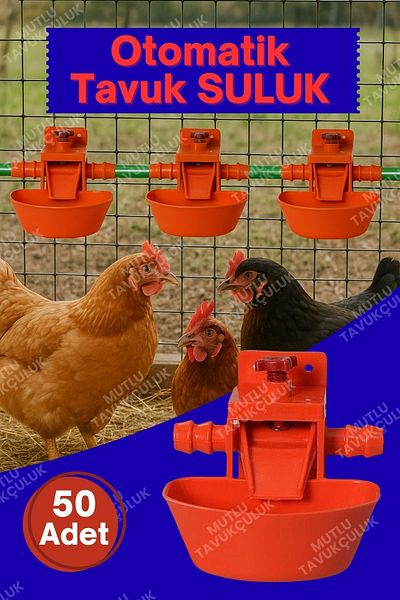 MUTLU TAVUKÇULUK Automatic Smart Chicken Chick Waterer Drinker 50 Pieces Plays Şebap Mail Plug Rotary Cabinet