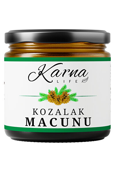 KARNA LİFE Kozalak Macunu - Bal, Polen Ve Zencefilli 400 gr