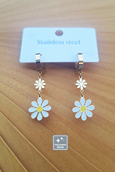 Miss TBee 🎇Küpe Festivali-Çeşit Çeşit Paslanmaz Çelik Küpeler