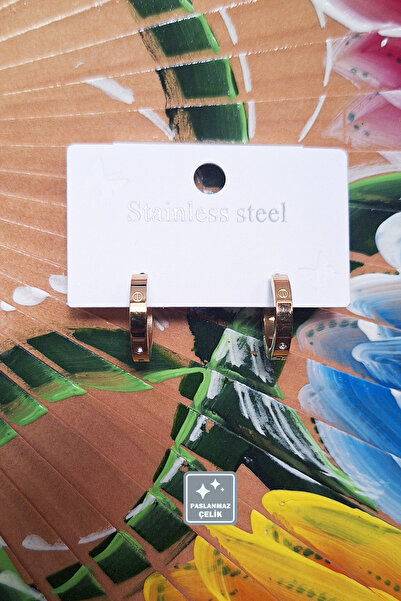 Miss TBee 🎇Küpe Festivali-Çeşit Çeşit Paslanmaz Çelik Küpeler