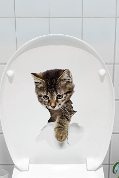 Emmaisie Klozet Kapağı Ve Banyo Etiketi Duvar Tuvalet Banyo Klozet Sticker - ...