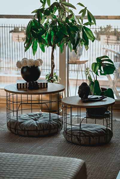 Lux poster house Kedi Yataklı 2'li Sehpa Nordik Tarz