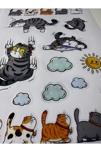 cakaybu A4 Size Cat Stickers: Notbook, Helmet, Wall, Bicycle, Motorcycle, Cabinet, Door