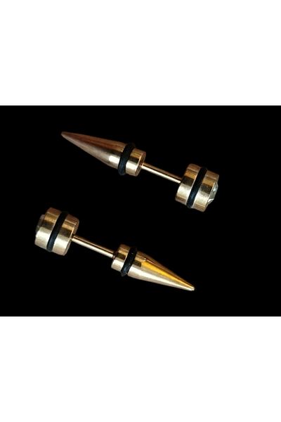Vira Gold Colored Minimalist Trendy Steel Earrings - Daily Use, 1 Pair Style, 15