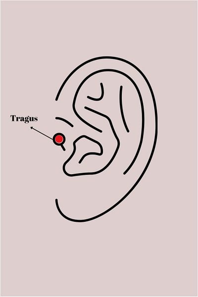 Skygo 316L Silver Heart Tragus Piercing with Red Enamel - Tj-Pr1267