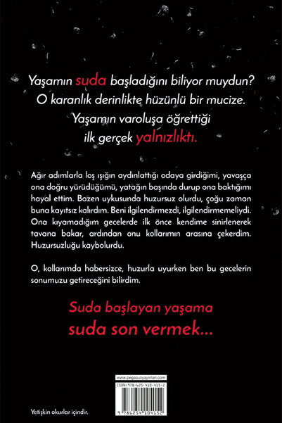 Pegasus Yayınları Yabancı Elyel (Ciltsiz) Yabancı Serisi 3 - Öznur Yıldırım