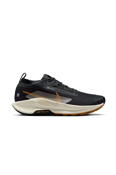 Nike Fq0908-007 Pegasus Trail 5 Gore-Tex Men's Trail Running Shoes Black