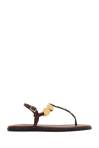 Derimod Women's Brown Metal Detailed Flip Flops Sandals 25Sfe480918