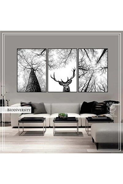 Tablomtr Metal Çerçeveli Gerçek Camlı Tablo Biodiversity 3 Lü Set