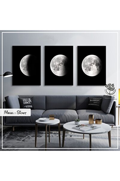 Tablomtr Metal Çerçeveli Gerçek Camlı Tablo Sicret 3 Lü Set