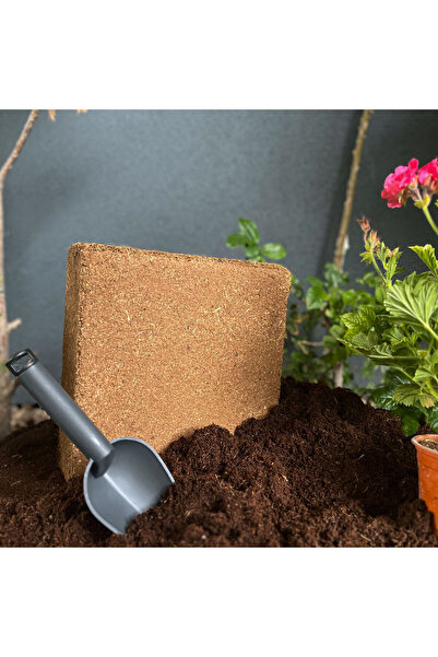 Biorfe Premium Cocopeat, Sıkıştırılmış Hindistan Cevizi Torfu - 5 Kg