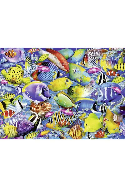 RAVENSBURGER لغز المرور الاستوائي مكون من 500 قطعة