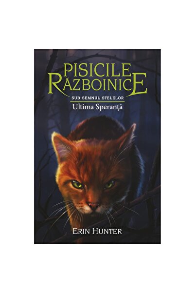 Editura Galaxia Copiilor Pisicile razboinice vol.24-Sub Semnul Stelelor.Ultim...
