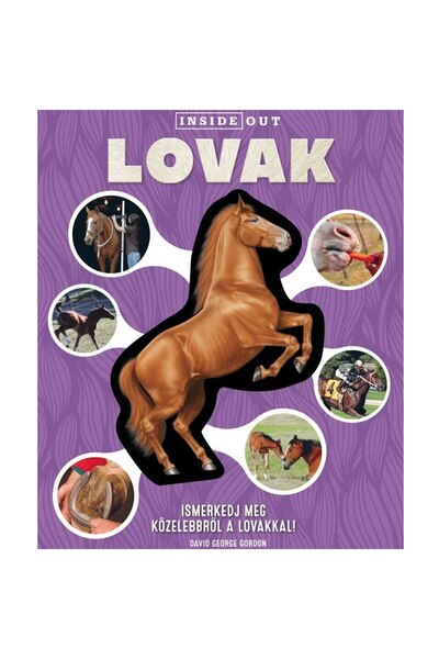 Editura Kreativ Lovak - 3D modell