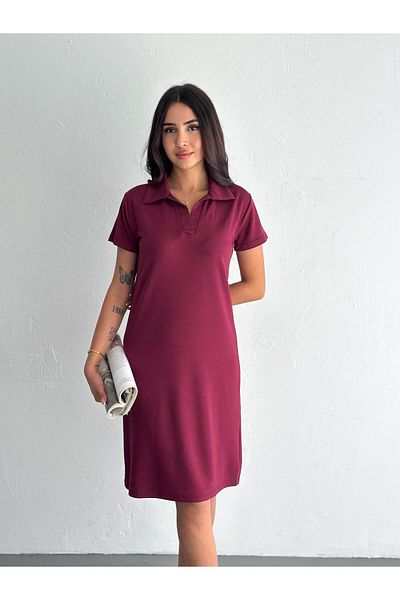 Elit Women's Modal Fabric Polo Neck Dress