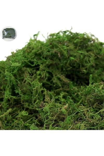 co arma Artificial green moss for decoration, suitable for swimming pools and gardens
