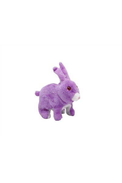 rexa Moving rabbit game