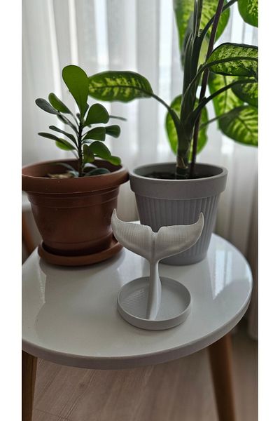 Özel Yapım Whale Tail Jewelry Stand
