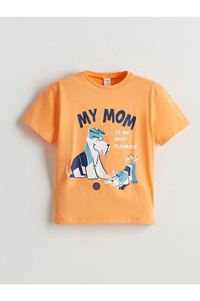 LC Waikiki New Season Crew Neck Printed Boys T-Shirt - S5K695Z1