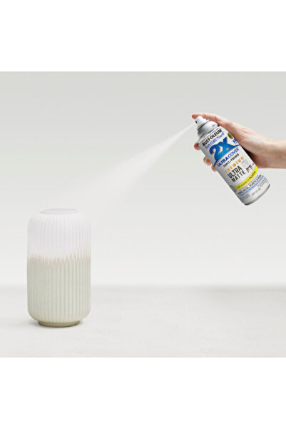 Rustoleum Painter's Touch 2X Ultra Cover Ultra Matte Spray Paint and Primer 12 oz