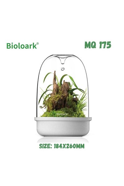 OEM Terrarium MQ-175