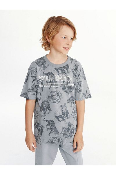 LC Waikiki New Season Crew Neck Boy's T-Shirt - S58830Z4