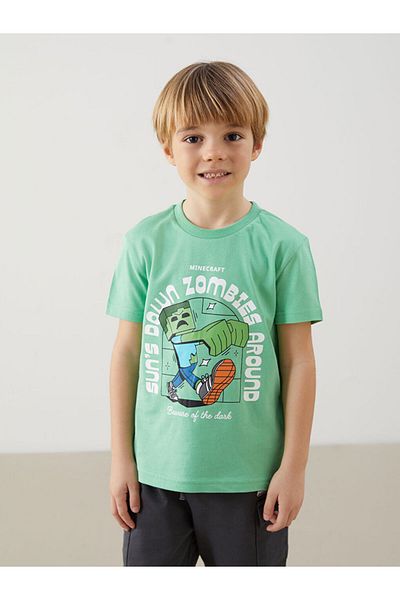 LC Waikiki Lcw Printed Boys' T-Shirt 2 Pack
