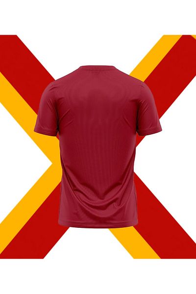 Galatasaray Licensed 5 Star Cotton Jersey T-Shirt