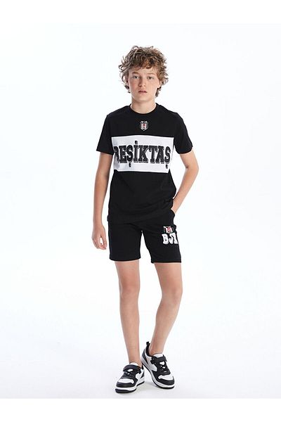 LC Waikiki Crew Neck Printed Boy's T-Shirt