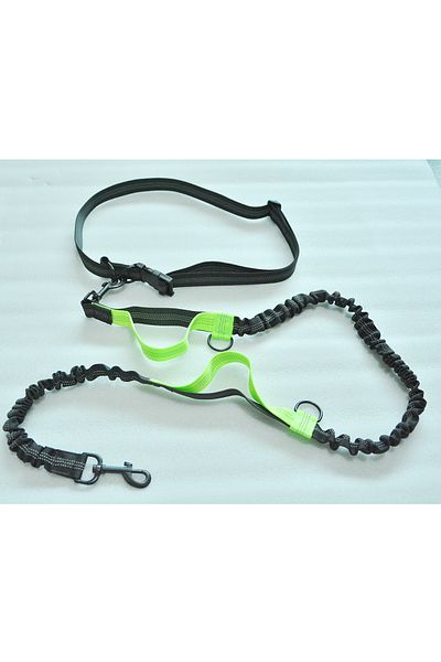 Choice green Double elastic reflective running leash portable retractable dog leash dog chain leash pet sup