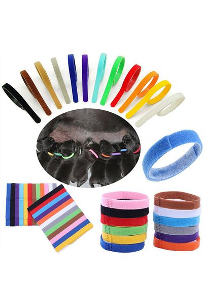 Choice S Multicolor 12pcs/Set Puppy Collars Adjustable Nylon Newborn Pet Color Collar Small Pet Dog Collars
