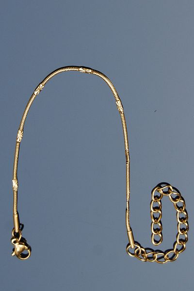 Rua Jewelry Round Snake Model Embroidered Chain Stainless Steel Bracelet Gold Color - 18cm+4 cm Extension - 1mm