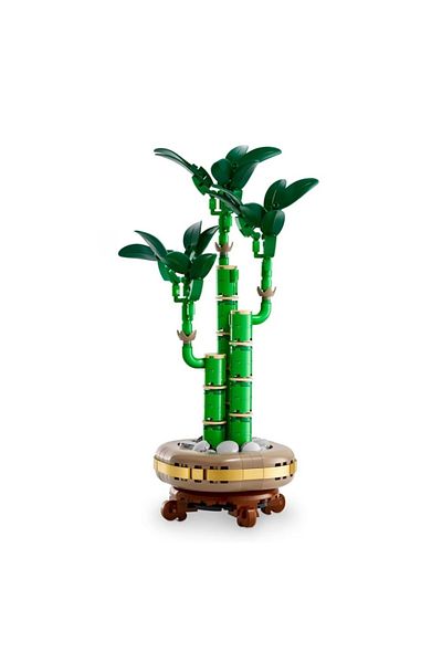 Choice nobox wood 2025 new plant lucky bamboo interior decoration modeling plant ornaments adult holiday gi