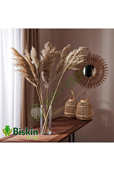 Genel Markalar 20 Adet Kuru Çiçek Doğal Pampas Dekoratif Ürün