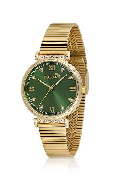 Polo Air Classic Women's Wrist Watch Gold Green Color Pl-1554B9X