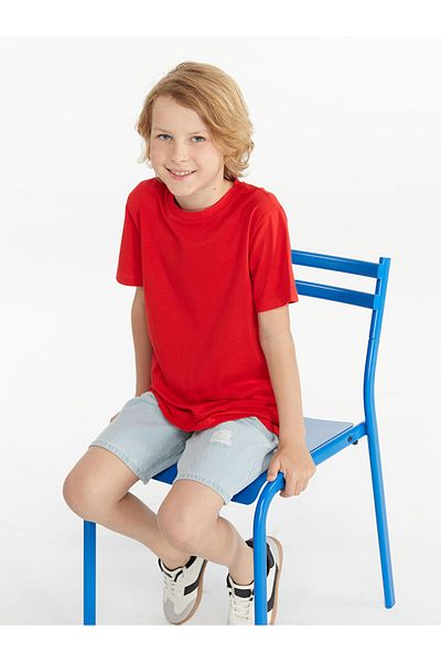 LC Waikiki Blue Crew Neck Boy T-Shirt