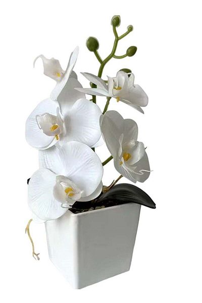 huitich Real Touch Orchid Bonsai with 5 Flower Heads White