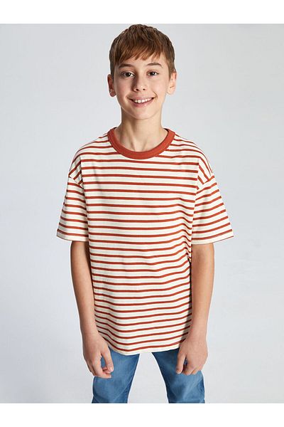LC Waikiki Blue Crew Neck Striped Boy's T-Shirt