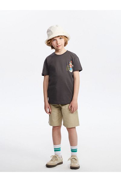 LC Waikiki New Season Legendary Monkey Printed Boy's T-Shirt - S5Oj27Z1