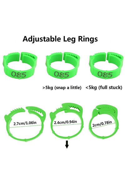 OEM Adjustable chicken rings, 100 pieces, Green