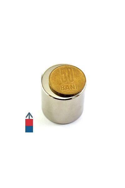 OEM Strong neodymium magnet cylinder 30x30mm - 40kg force
