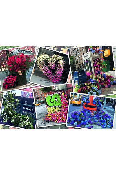RAVENSBURGER Ravensburger Puzzle - Flowers In New York, 1000 pieces